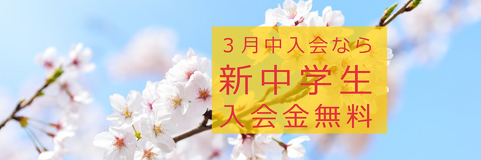 My Post (2).png