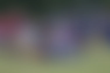 #Rugby: Pese a un buen rendimiento, Colón Rugby Club no pudo con CUCU