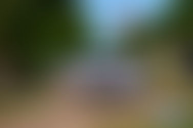 Sin sorpresas en el Rally