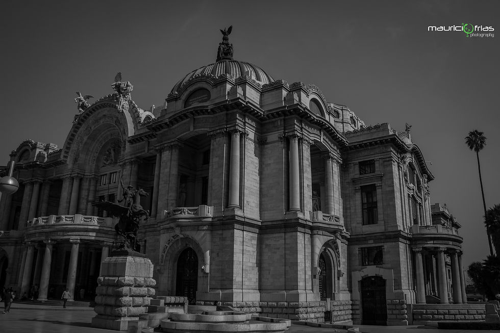 IMG_2925