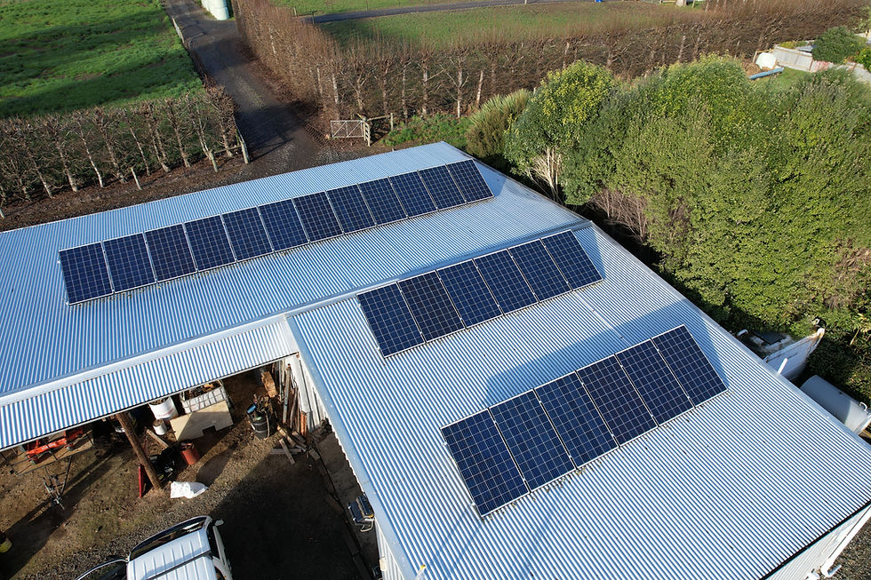Solar panel cleaning, solar panel cleaning Dunedin, Solar panel cleaning Central Otago, Solar panel cleaning Southland, lichen removal from solar panels, solar panel cleaning Wanaka, solar panel cleaning South Canterbury