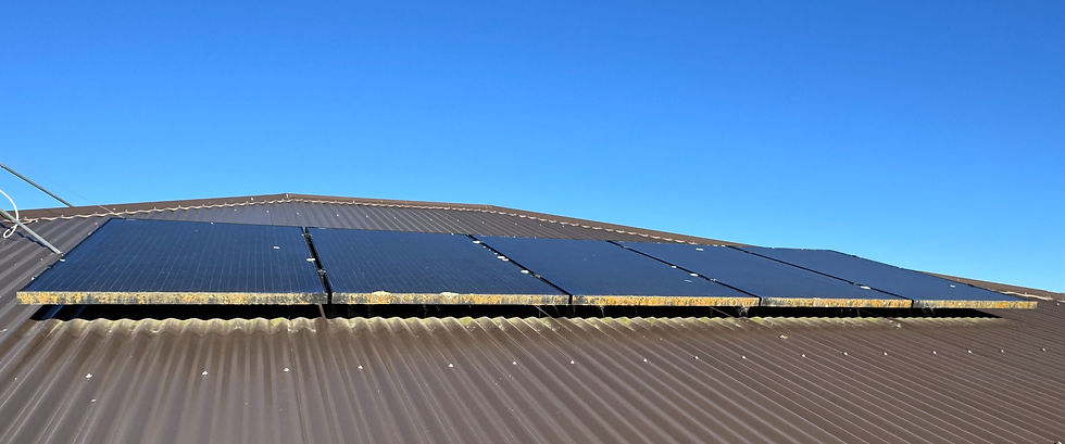 solar panel cleaning, solar panel cleaning near me, dirty solar panels, lichen on solar panels, eco solar clean