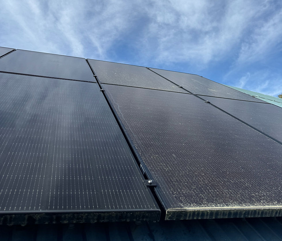 solar panel cleaning, solar panel cleaning Dunedin, solar panel cleaning near me, pollen on solar panels, lichen on solar panels, how do I clean my solar panels, is lichen bad for solar panels