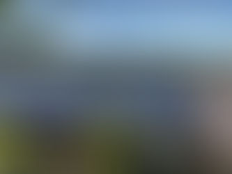 Eco Solar Clean recently completed a solar panel cleaning in Waverley, Dunedin, removing 10 years of lichen build-up. Boost efficiency and protect your panels with a professional clean today.