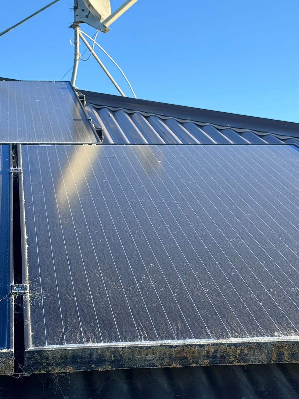solar panel cleaning, solar panel cleaning near me, dirty solar panels, lichen on solar panels, eco solar clean