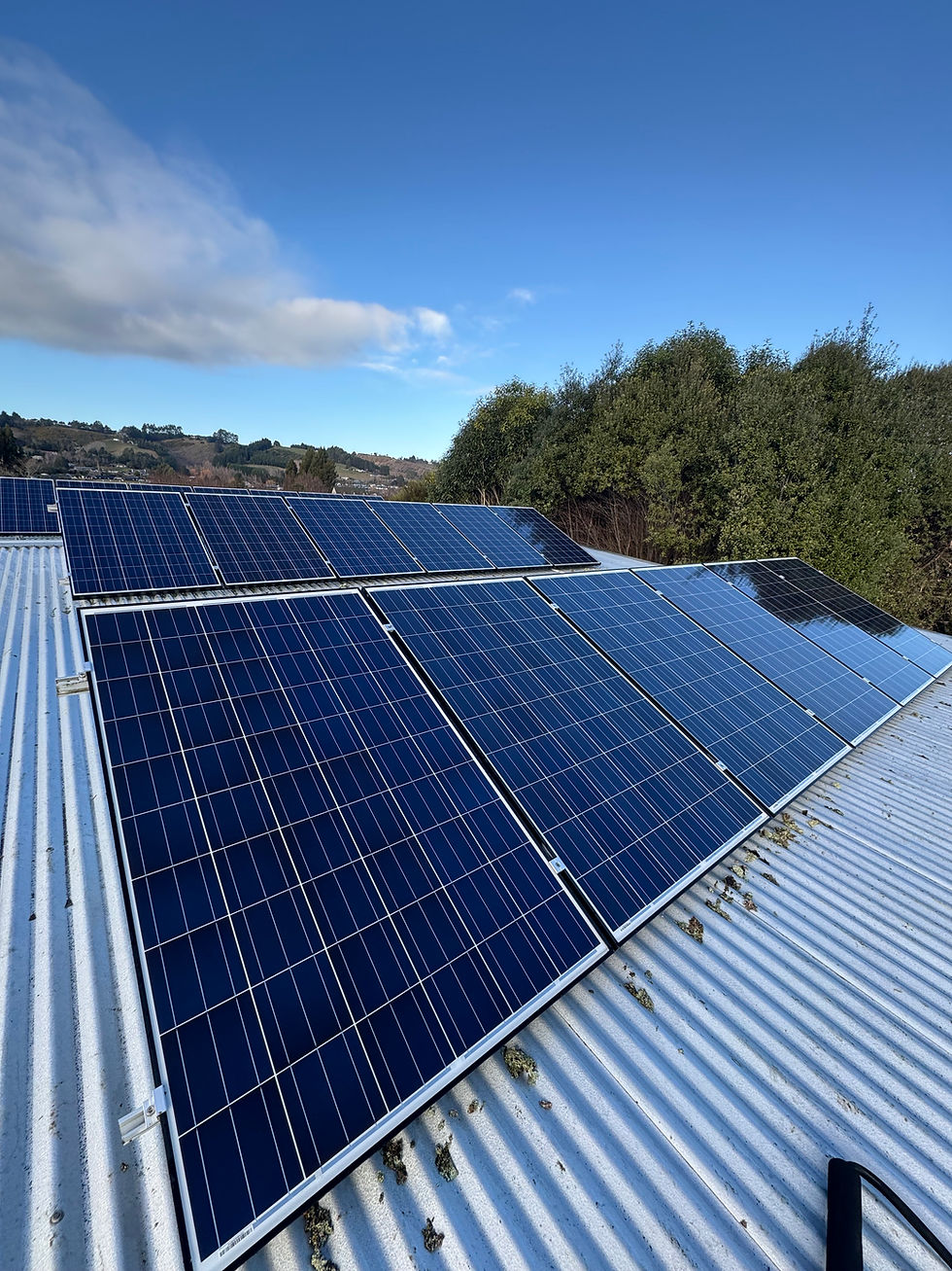 Solar panel cleaning, solar panel cleaning Dunedin, Solar panel cleaning Central Otago, Solar panel cleaning Southland, lichen removal from solar panels, solar panel cleaning Wanaka, solar panel cleaning South Canterbury