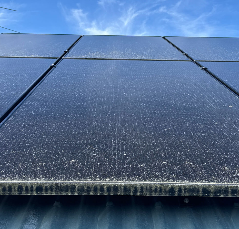 solar panel cleaning, solar panel cleaning Dunedin, solar panel cleaning near me, pollen on solar panels, lichen on solar panels, how do I clean my solar panels, is lichen bad for solar panels