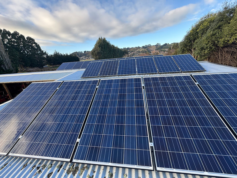 Solar panel cleaning, solar panel cleaning Dunedin, Solar panel cleaning Central Otago, Solar panel cleaning Southland, lichen removal from solar panels, solar panel cleaning Wanaka, solar panel cleaning South Canterbury