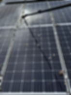 Lichen covered solar panels, solar panel cleaning Dunedin, solar panel cleaning near me, Eco Solar Clean