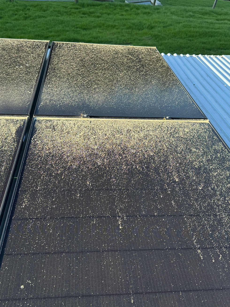 Eco Solar Clean completed a solar panel cleaning job in Taieri Mouth near Akatore Forest, where pollen build-up was reducing efficiency. Learn how we restored performance with our eco-friendly cleaning service.