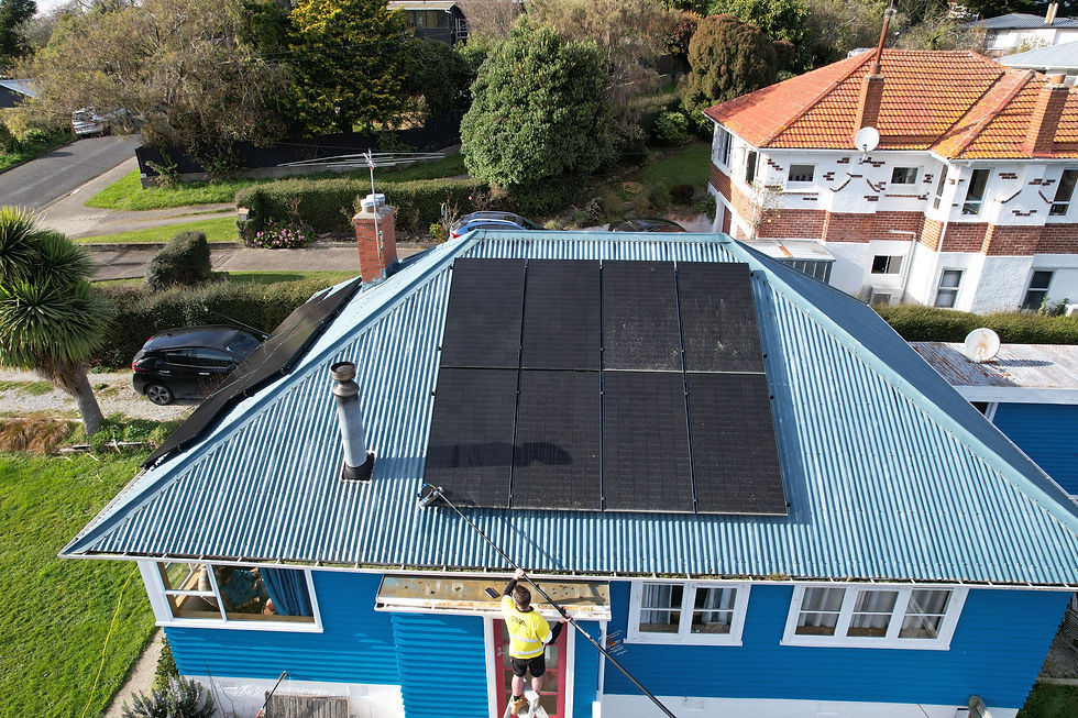 solar panel cleaning, solar panel cleaning Dunedin, solar panel cleaning near me, pollen on solar panels, lichen on solar panels, how do I clean my solar panels, is lichen bad for solar panels