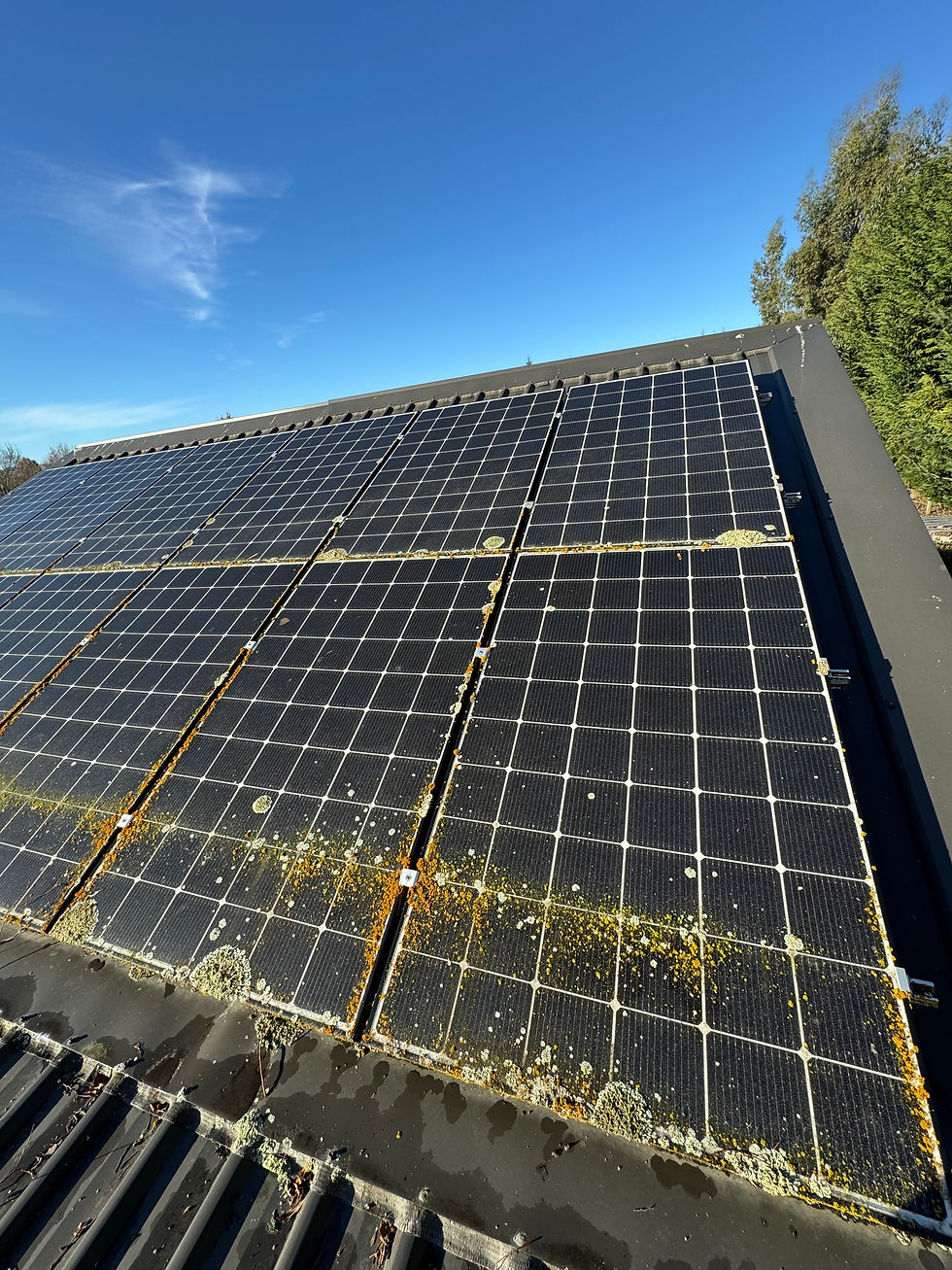 Solar Panel Cleaning, solar panel cleaning Dunedin, solar panel cleaning near me, Eco Solar Clean