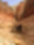 15039694_10154663263857359_3185877740211