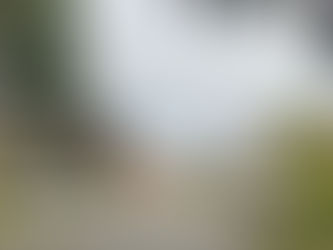 Chinese models surpass Koreans in Europe with Japanese next in their sights. 