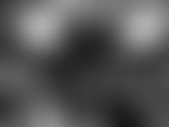 BYD now equal with Tesla across Western Europe 