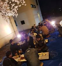 観桜会(2019.4.17)