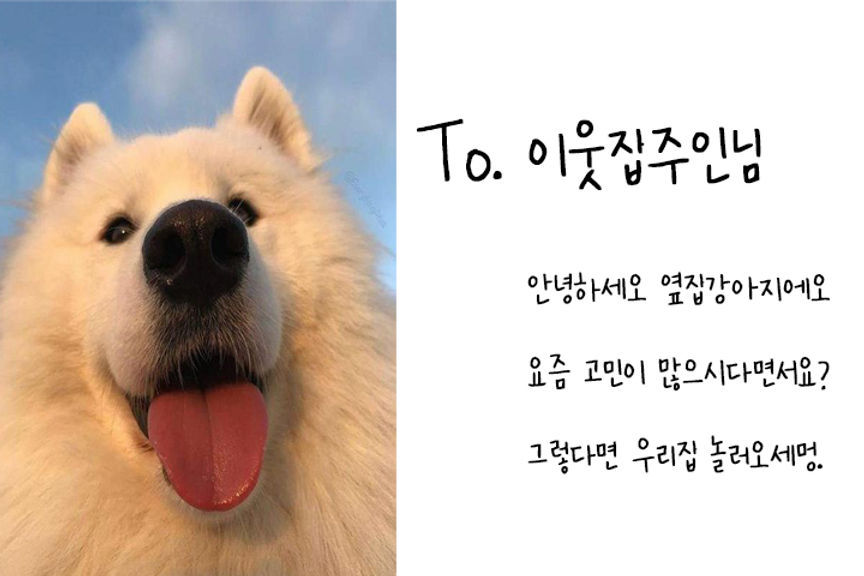 제목 없음-2.jpg