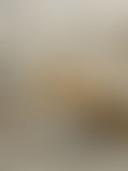 CATÁSTROFE SOCIOAMBIENTAL *