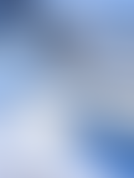 A IMPORTANTE PROFISSÃO DESCONHECIDA *