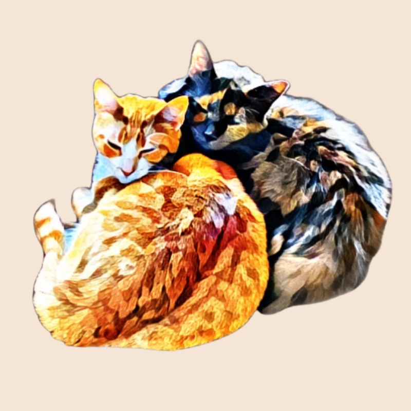 Thumbnail: 2 ANIMALS - DIGITAL ARTWORK