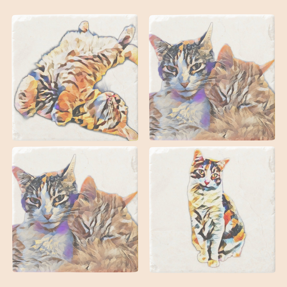 Thumbnail: STONE COASTER SET (4)