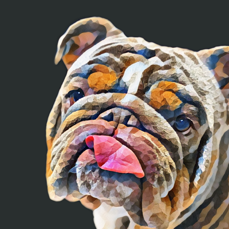 Thumbnail: 1 ANIMAL - DIGITAL ARTWORK