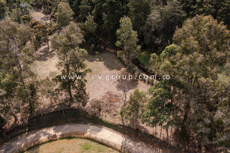 Miniatura: Lote llanogrande 
