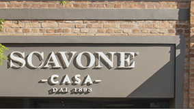 Scavone e Journey Insights:
Transformação digital e crescimento impulsionado pelo CRM!