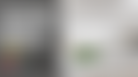 Entendendo os Diferentes Tipos de Empresas que um Estrangeiro Pode Abrir na China