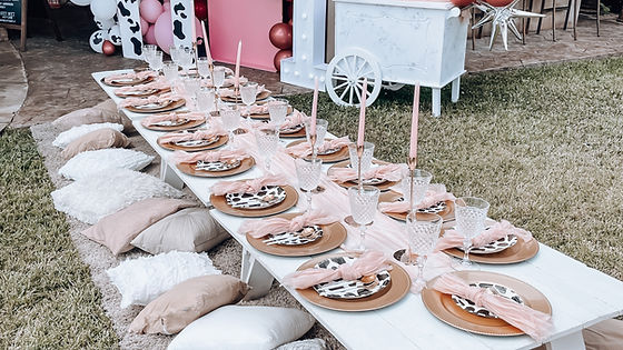 Picnic for 21-24 Guests