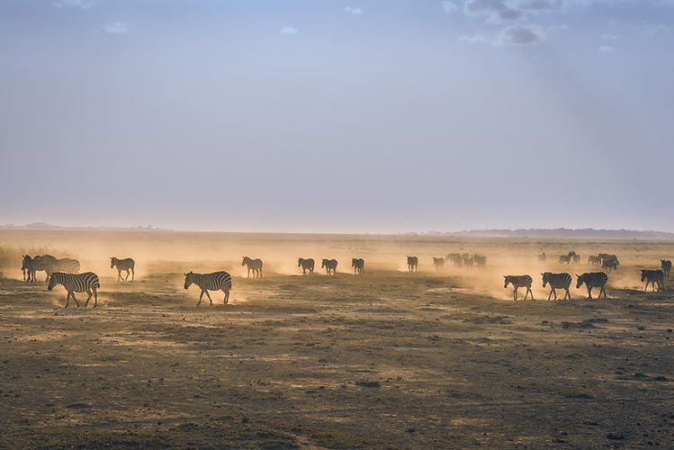All Inclusive Safari tours in Tanzania