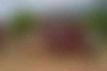 Kleins Gate im Serengeti-Nationalpark