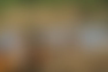 Horseback Riding in Tanzania