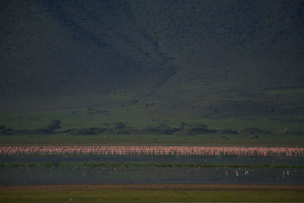 What is so special about Ngorongoro Crater?