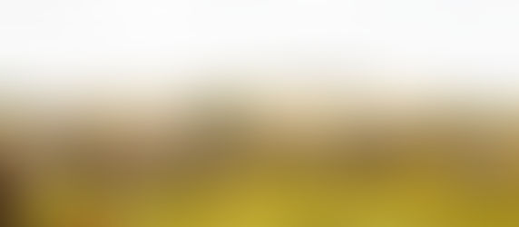 Why Serengeti is a Top Safari Destination?