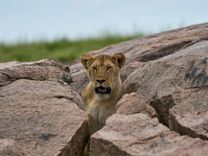 Solo Travel To Tanzania