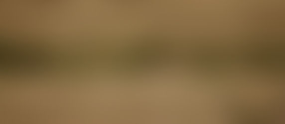 What Is the Best Group Safari in Tanzania? 