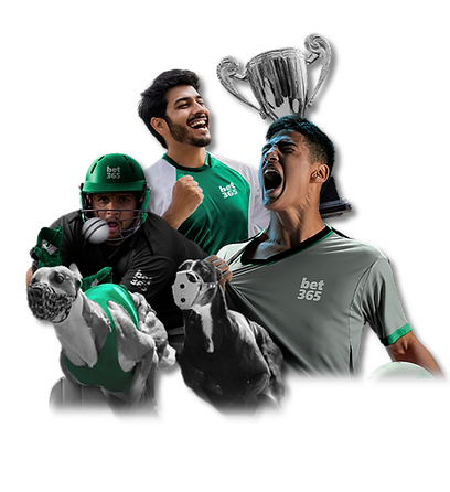 종합솔루션-카지노솔루션-토지노솔루션제작-타이슨솔루션