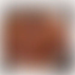 Recette Sauce madere | Les Epices DeLACO