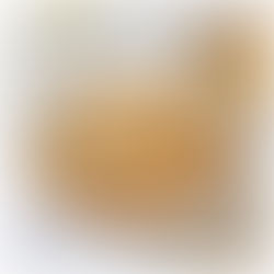 Recette Tartinable au crabe | Les Epices DeLACO