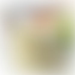 Recette Sauce coleslaw américaine | Les Epices DeLACO