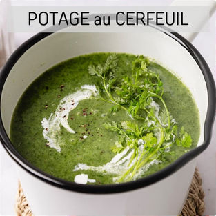 Recette Potage au Cerfeuil | Les Epices DeLACO