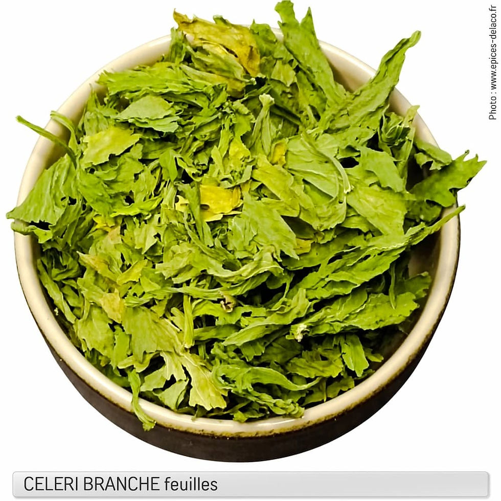 Celeri branche feuilles