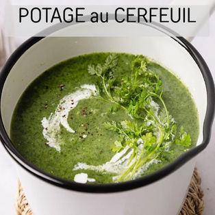 Faire un POTAGE au CERFEUIL facilement !