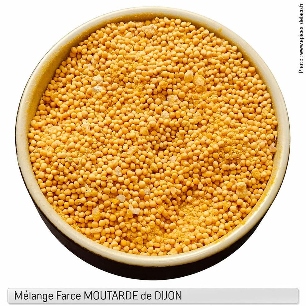 Mélange faire sa moutarde de Dijon maison