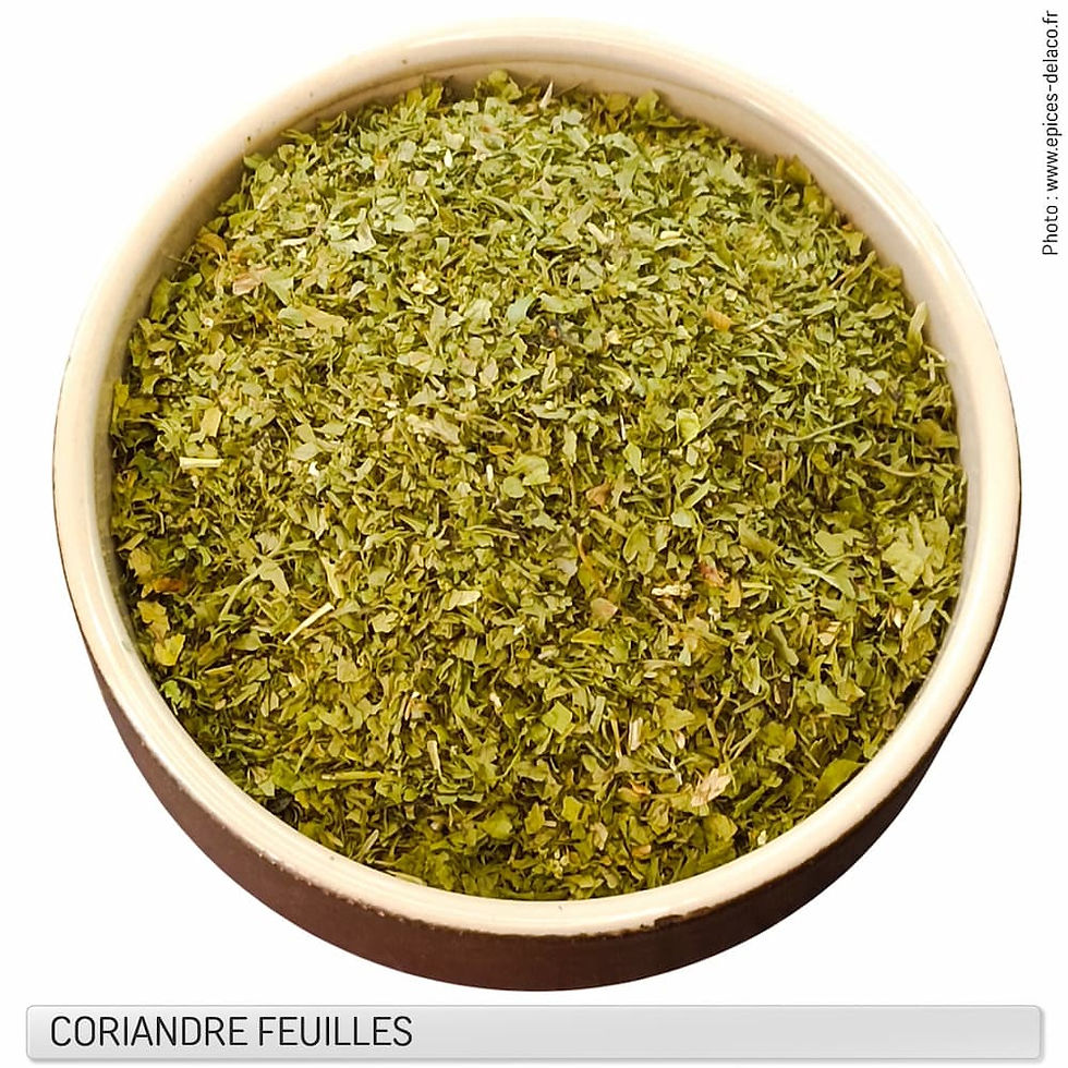 Coriandre feuille