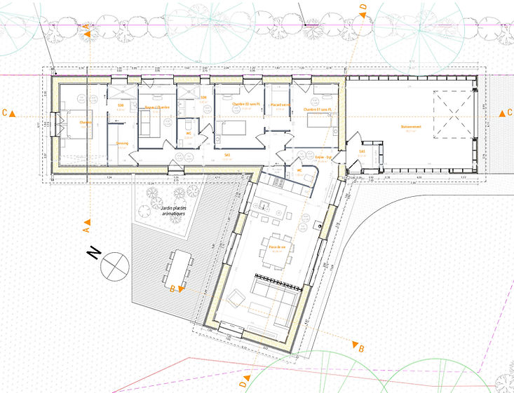 PLAN DE RDC - GREB.jpg