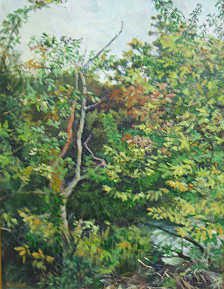 Down the Field by the Pond