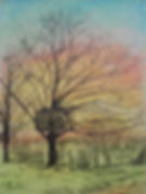 The Gosfield Treehouse