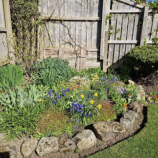 Curved stone edged garden border filled with blue and yellow flowers next to a wooden fence
